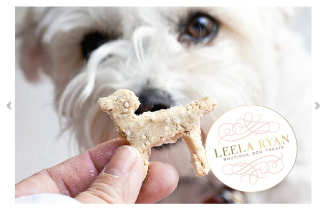 Miss Modern Design House / portfolio