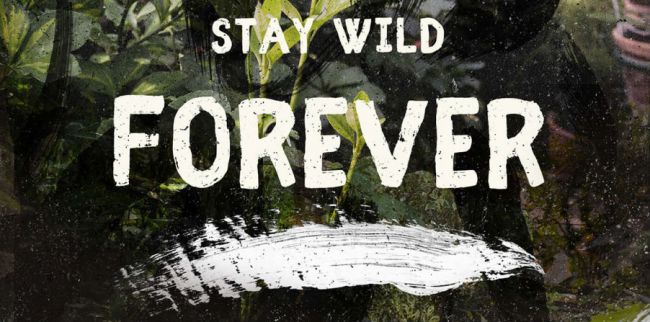 Fibre là một kiểu chữ viết hoa hoàn toàn, gần gũi và nguyên gốc nhưng vẫn dễ đọc